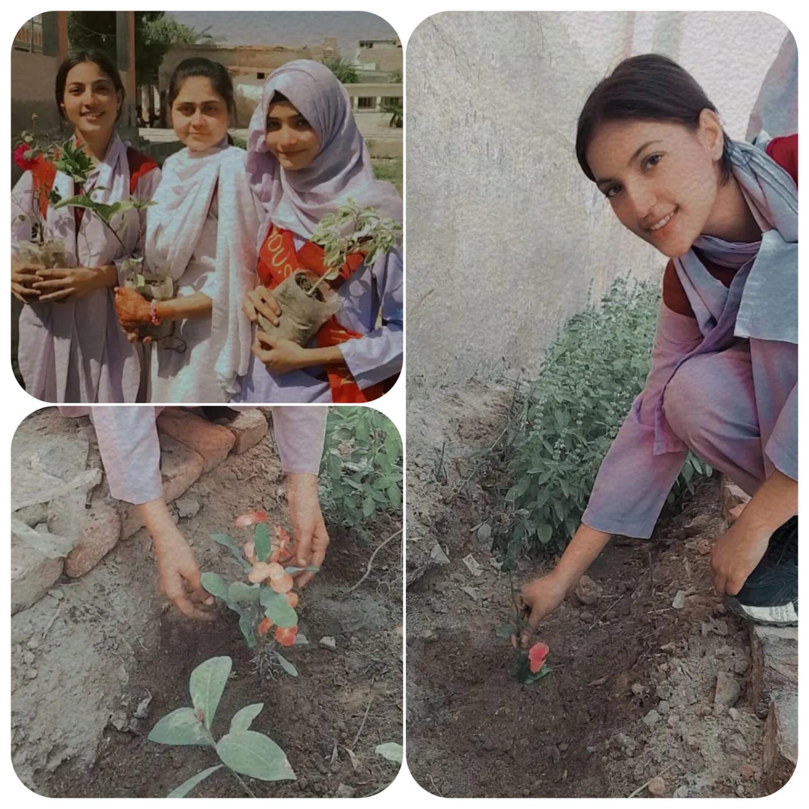 My Students planting trees.jpeg